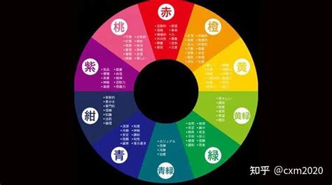 生肖五行顏色|五行顏色生肖：12生肖五行本命色和相生色，讓你的運。